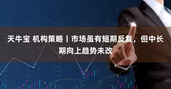 天牛宝 机构策略丨市场虽有短期反复，但中长期向上趋势未改